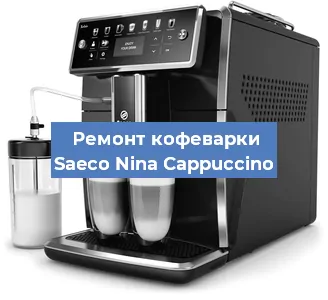 Чистка кофемашины Saeco Nina Cappuccino от накипи в Нижнем Новгороде